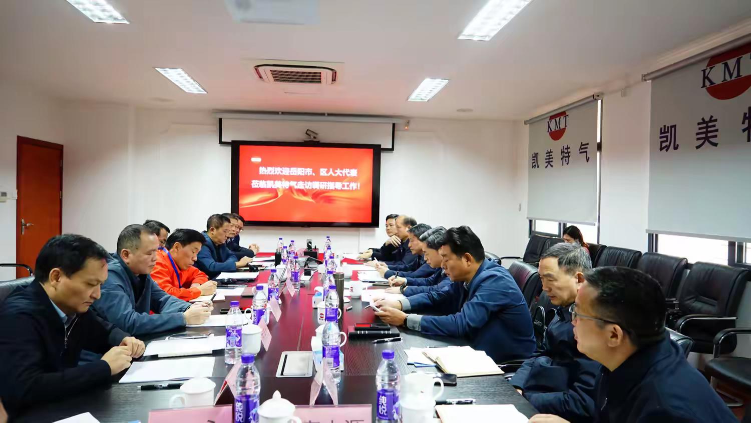 岳阳市、区人大代表走访调研凯美特气